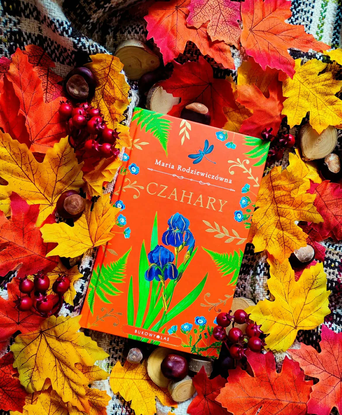 Zdjęcie z Instagrama